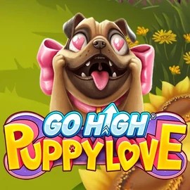 Go High Puppy Love casino game by RubyPlay – featured logo at Pistolo Casino