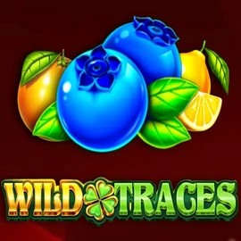 Wild Traces slot visual from Amusnet Interactive available on pistolo.eu